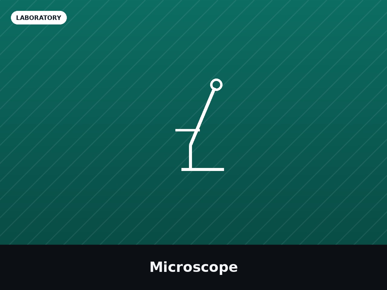 Microscope