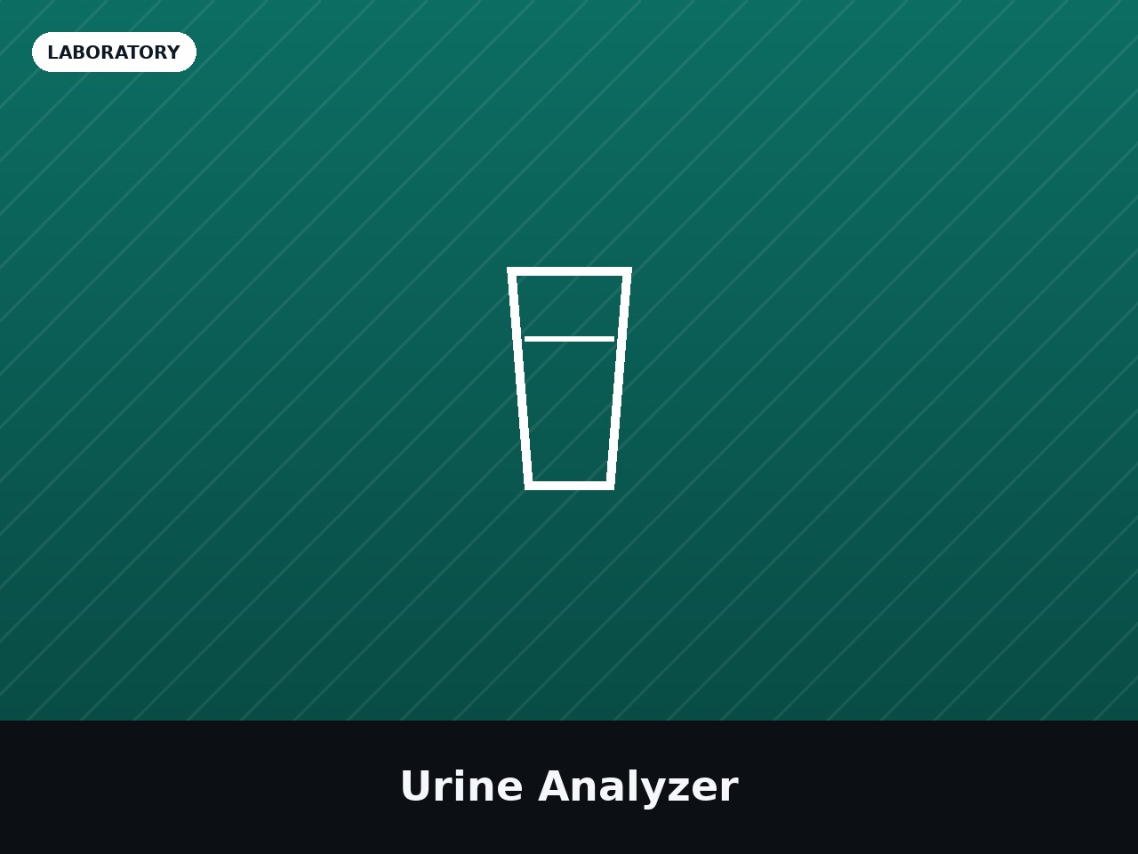 Urine Analyzer